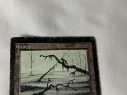 Swamp - 1993 Magic the Gathering - Limited Edition Beta Regular - Image 2