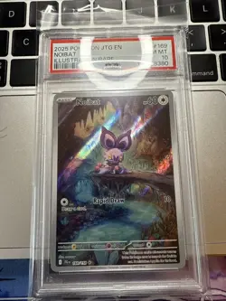 2025 Pokemon JTG EN-Journey Together Noibat Illustration Rare PSA 10 #169 - Image 1