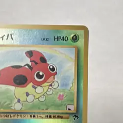 Pokemon TCG Ledyba Southern Island Regular Japanese Common 40 HP Keiko Fukuyama - Image 4