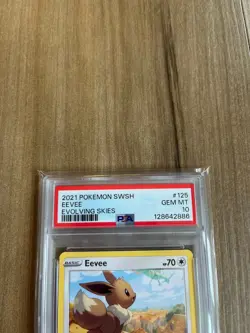 Pokemon Eevee 125/203 SWSH07 Evolving Skies 2021 PSA 10 GEM Mint Graded Regular - Image 4