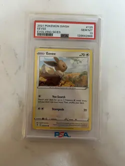 Pokemon Eevee 125/203 SWSH07 Evolving Skies 2021 PSA 10 GEM Mint Graded Regular - Image 5