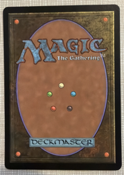 Plains Guru Lands #4 MTG Magic The Gathering Card NM - Image 2