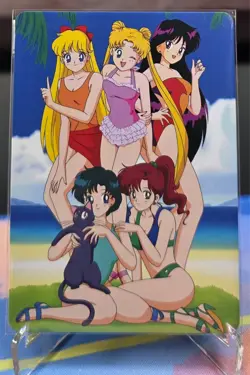 Pretty Soldier Sailor Moon (Sailor Mars) ACG Waifu Anime Card - Image 2