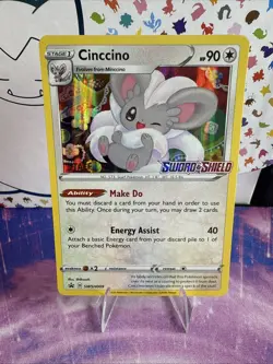 Cinccino SWSH009 STAFF Pre Release Promo Sword & Shield Pokemon Card NM - Image 1