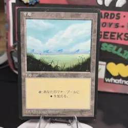 MTG Plains Japanese FBB 4th Edition 1996 MP EDH COMMANDER free shipping - Image 3