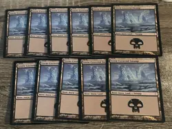 Snow-Covered Swamp (x11) Magic: The Gathering COLDSNAP (2006) *GREAT COND* LP - Image 1