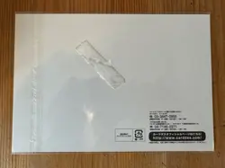 Bandai Dragon Ball Carddass COMPLETE BOX Vol.1 Premium Set + Bonus JUMBO card ! - Image 5