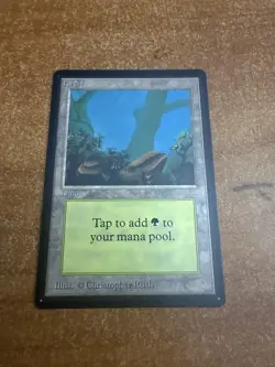 MTG Beta Edition 1993 Vintage Magic! NM Forest Black Borders - Image 1