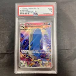 PSA 7 Wailord 162/159 Illustration Rare 2025 Pokemon JTG EN - Image 1