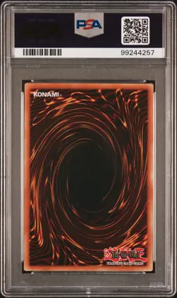 Blue-Eyes White Dragon PSA 10 - MP24-EN001 - Quarter Century Rare - Yugioh - Image 2