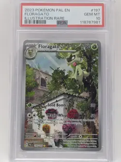 Pokemon TCG Floragato 197/193 Paldea Evolved Illustration Rare PSA 10 - Image 1