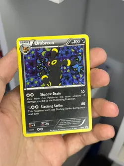 2013 Pokemon Black and White Promos Holofoil Umbreon BW93 - Image 1