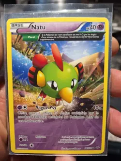 Natu 28/108 XY Roaring Skies 2015 French NM Non-Holo Pokemon TCG - Image 1