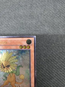 Dandylion (UTR) AP04-EN001 Astral Pack 4 Ultimate Rare HP/DMG - Image 4
