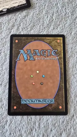 ~ Stormcarved Coast - 304 - MTG: Secrets of Strixhaven - Borderless - FOIL - Image 2
