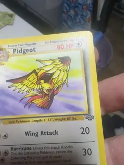 Pokemon TCG Pidgeot 1st Edition Jungle non holo Rare 24/64 LP - Image 4