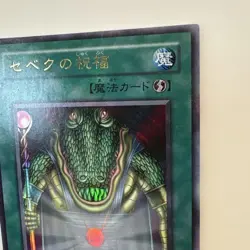 YuGiOh Sebeks Blessing Water Spell Card Trading Card Individual Card - Image 3