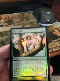 Saviors of Kamigawa Asian MTG FOIL Seek the Horizon Magic - Image 1