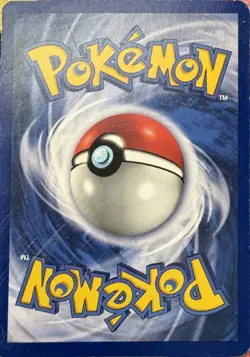 Pikachu 4 P Wizards Black Star Promos Pokemon MP - Image 2