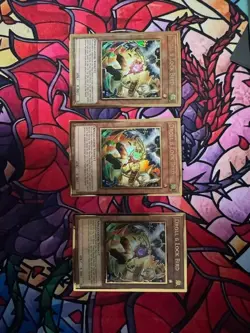 3x Droll & Lock Bird (Alternate Art) MAGO-EN006 Gold Rare NM-M 1st Edition - Image 1