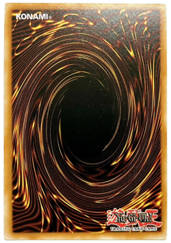 ANGU-EN033 Ursarctic Polari - Collectors Rare 1st Edition Lightly Played YuGiOh - Image 2