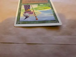MTG - Fastbond - Revised - Magic the Gathering - Image 4