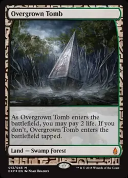[1x] Overgrown Tomb - Foil Near Mint, English Expedition Lands MTG Magic - Image 1