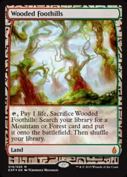 [1x] Wooded Foothills - Foil Near Mint, English Expedition Lands MTG Magic - Image 1