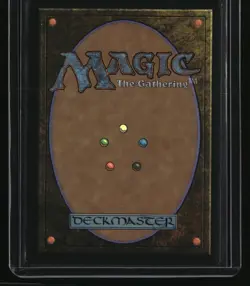Secret Lair Drop Series Evolution Sage (Extended Art) Foil - Image 2