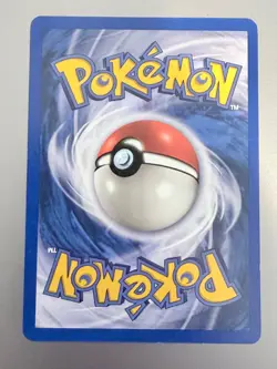 Pokemon Skyridge Desert Shaman 123/144 Trainer NEVER PLAYED Elite Mint WOTC - Image 2