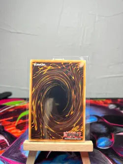 Blue Eyes White Dragon Stamped RA05-EN085 Rarity Collection V (5) NM Yugioh - Image 2