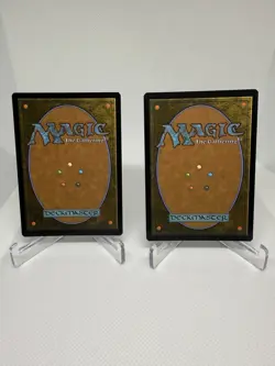 x2 Terrasymbiosis (Rare) 0210 FOIL Edge of Eternities MTG NM - Image 2