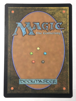 Knights of Dol Amroth FOIL 0059 the Lord of the Rings MTG Magic the Gathering NM - Image 2