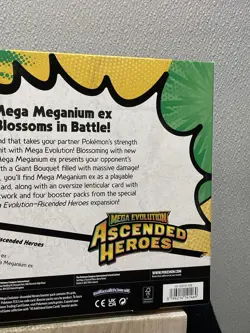 Pokemon TCG: Mega Evolution—Ascended Heroes Mega Meganium EX Box Sealed - Image 4