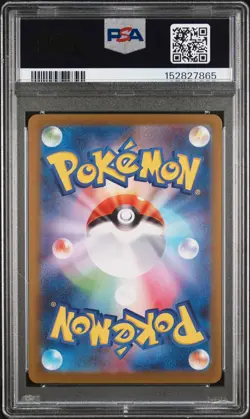 2025 POKEMON JAPANESE SV-P PROMO #260 TOHOKU'S PIKACHU PSA 10 - Image 2