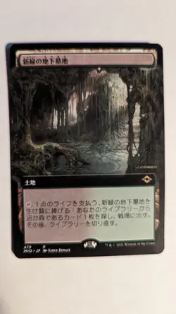 1x Extended Art Verdant Catacombs JAPANESE NM - Modern Horizons 2 MH2 x1 - Image 1