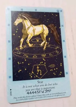 Bella Sara TCG Northern Lights Star 23/55 Common Horse Card 2007 - Image 1
