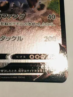 Stoutland V Holo Pokemon Card Game 059/070 RR Rare From Japan Nintendo F/S - Image 5