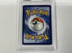 Terapagos Ex 170/142 Stellar Crown SIR Pokemon Card PSA 10 GEM MINT - Image 5