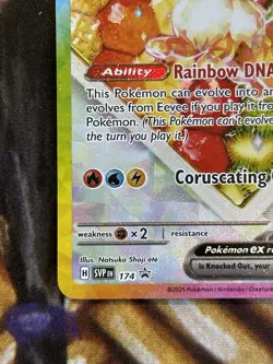 Eevee ex #174 Pokemon S&V English SPC Black Star Promo Card Holo English - NM 🔥 - Image 4
