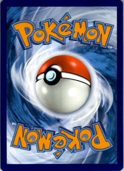Dusknoir 062/172 - Trick Or Trade 2022 - Holo - Rare - Pokemon NM - Image 2
