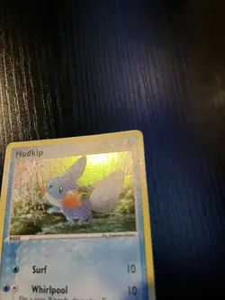 Pokemon EX Deck Tin Mudkip #018 - Black Star Promo - NM Vintage - Image 4