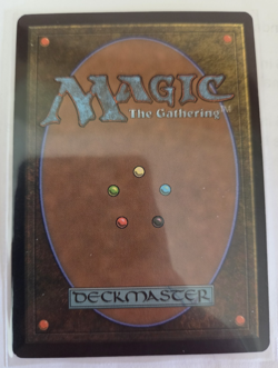 MTG, Beseech the Mirror Promo Pack: Wilds of Eldraine Regular NM - Image 2