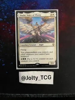 Shalai, Voice of Plenty Dominaria Regular - Image 1