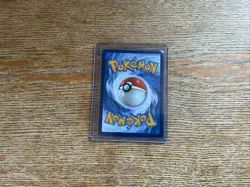 Chien Pao EX 261/193 Sv02 Paldea Evolved Pokemon Special Illustration Rare - Image 4