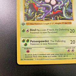 Tangela 66/102 1st Edition Shadowless Base Set Regular NM - Pokemon Card - Image 5