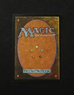 MTG JUNGLE BASIN Land Visions - Image 2