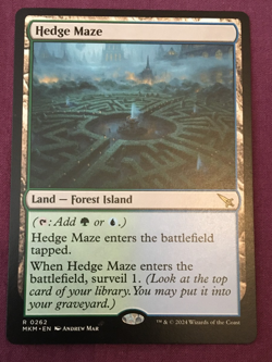 MTG Hedge Maze - 262 / English / Near Mint Non-Foil - Image 1