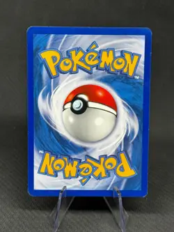 Skitty 79/100 2003 EX Sandstorm Pokemon TCG Nintendo e-Series Common MP W/ DMG - Image 2