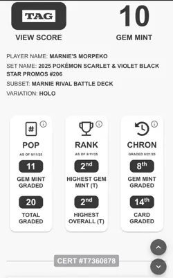 TAG 10 Marnie's Morpeko SVP 206 Illustration Battle Deck Promo Pokemon Card TCG - Image 3